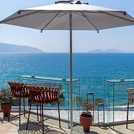 Vlora Priam, Affiliated By Melia